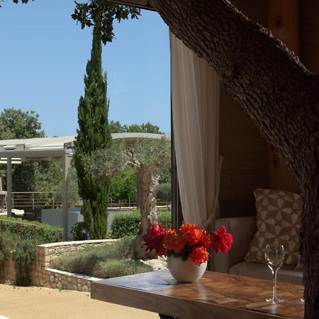 Stolidi Mou Treehouse Βίλα Ατσιπόπουλο Εξωτερικό φωτογραφία